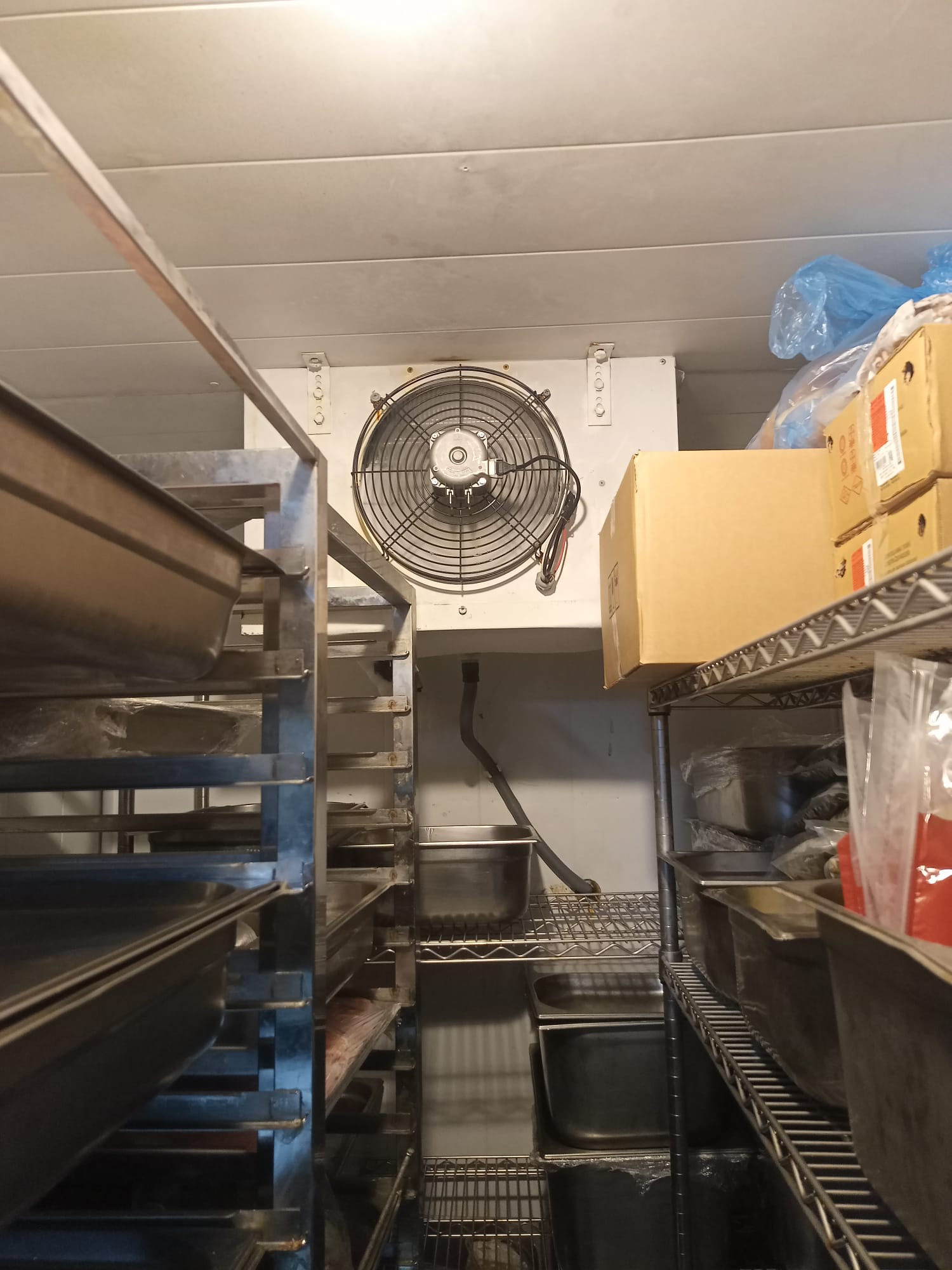 İstanbul Kurumsal Eksi-18 Soğuk Hava Depoları Servisi, Hizmetleri Teknik Destek Hattı 0212 515 21 76 Çağrı Numarası, Genel Sorular Soğuk Oda Deposu Az Soğutuyor veya Buzhane Deposu Gaz Dolumu Fiyatı, Sıfır Kurulum Montaj ve Sökümü Motor Değişimi ,En Yakın Soğuk Oda Ustası veya Tamircisi Nerede Gibi Aramalarınızda Hızlı Şekilde Cevap Vermekteyiz