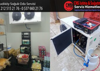 Kadıköy Soğuk Oda Servisi