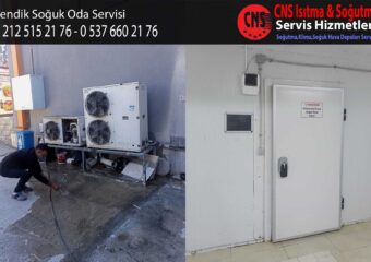 Pendik Soğuk Oda Servisi