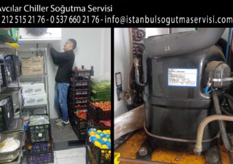 Avcılar Chiller Soğutma Servisi