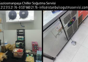 Gaziosmanpaşa Chiller Soğutma Servisi